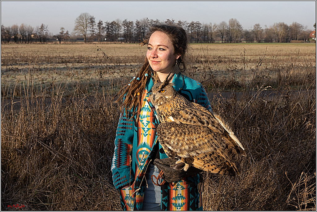 Cheyenne-Halbblut Hunting Wolf in der Falknerei Pierre Schmidt; Gymnich, 09.02.2023